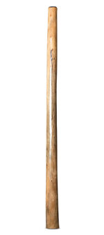 Natural Finish Didgeridoo (TW1776)